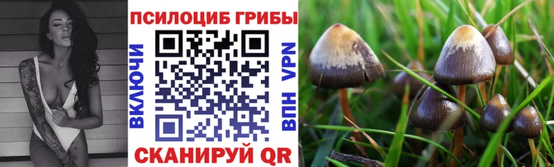 ОМГ ОМГ рабочий сайт  Жигулёвск  Галлюциногенные грибы Magic Shrooms 